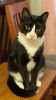Max (5)